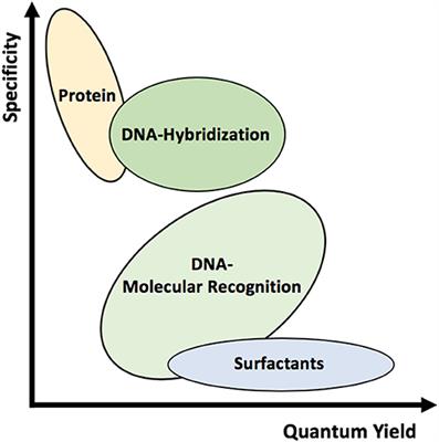 Non-covalent Methods of Engineering Optical Sensors Based on Single-Walled Carbon Nanotubes